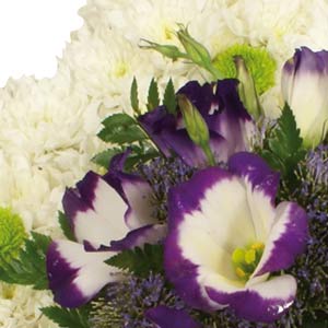 Lisianthus Star Cushion