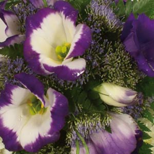 Lisianthus Star Cushion