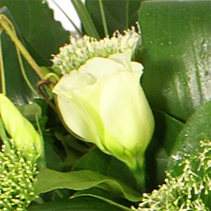 Calla Lily Spray