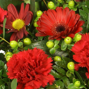 Red Sympathy Posy