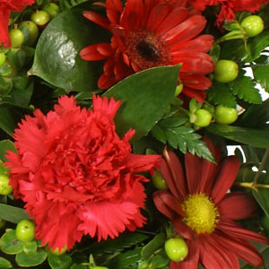 Red Sympathy Posy