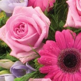 Rose and Gerbera Posy