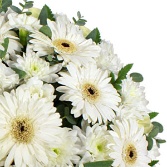 Luxury White Posy