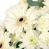 Luxury White Posy