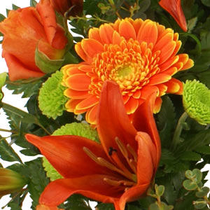 Gerbera & Lily Wreath