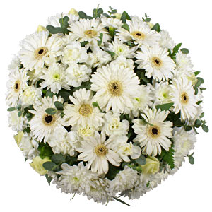 Luxury White Posy